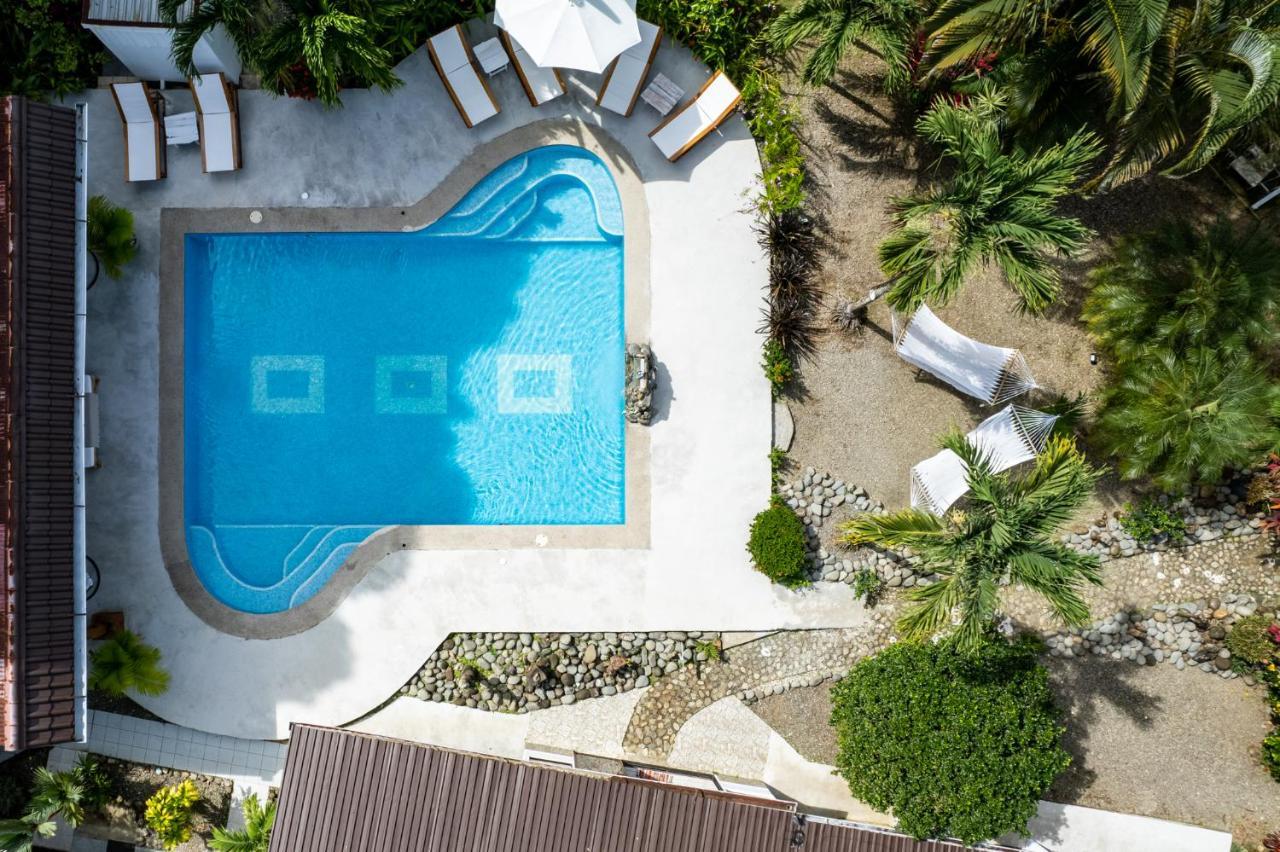 Tribe Boutique Hotel - Adults Only 多米尼克 外观 照片