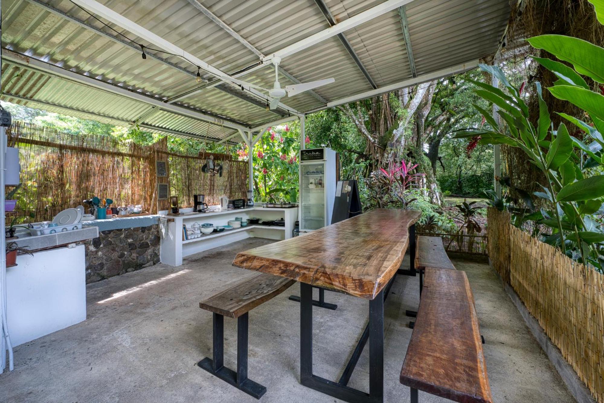 Tribe Boutique Hotel - Adults Only 多米尼克 外观 照片